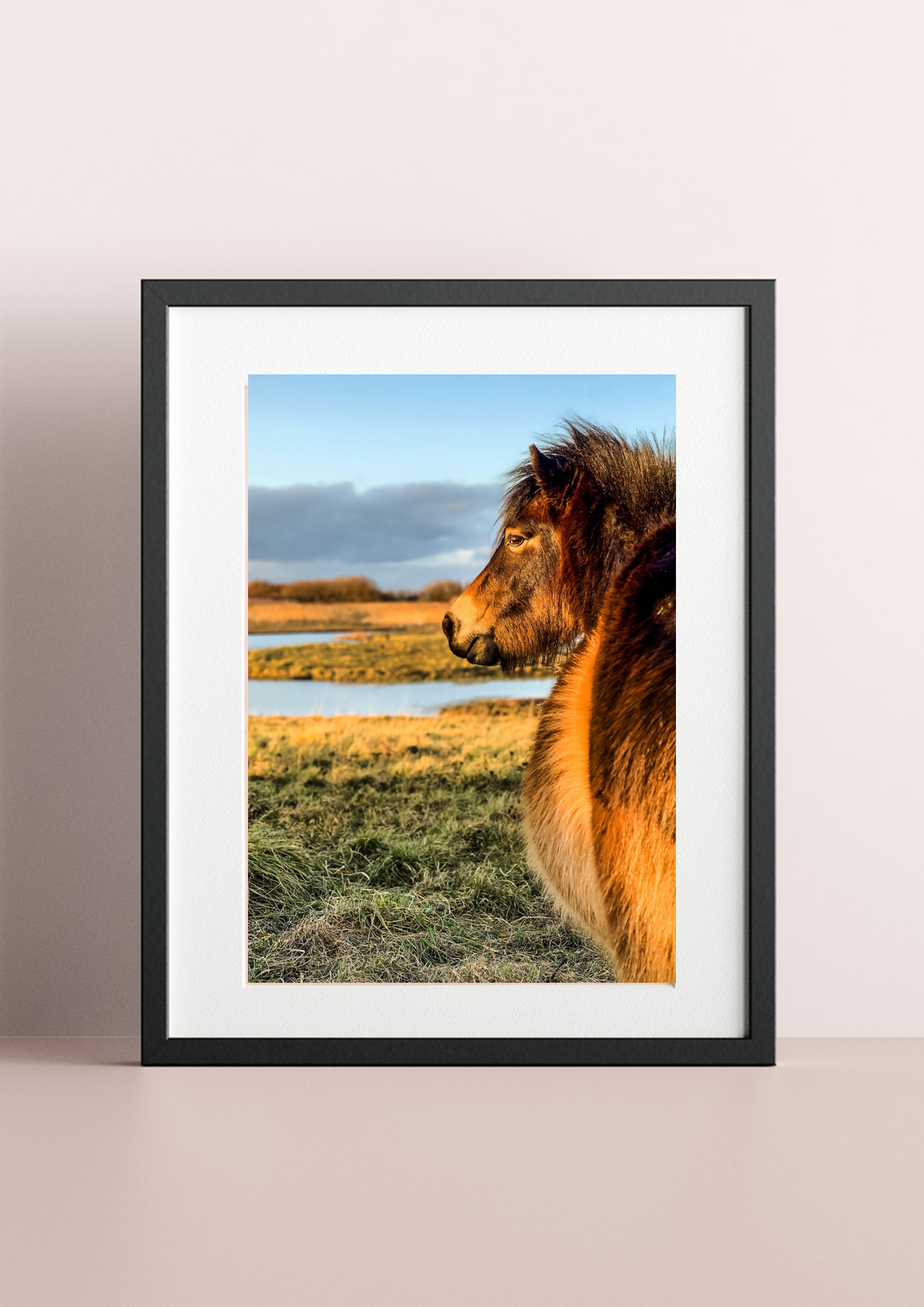 Colour My World - The Wild One, Framed and Mounted Photographic Art Print
