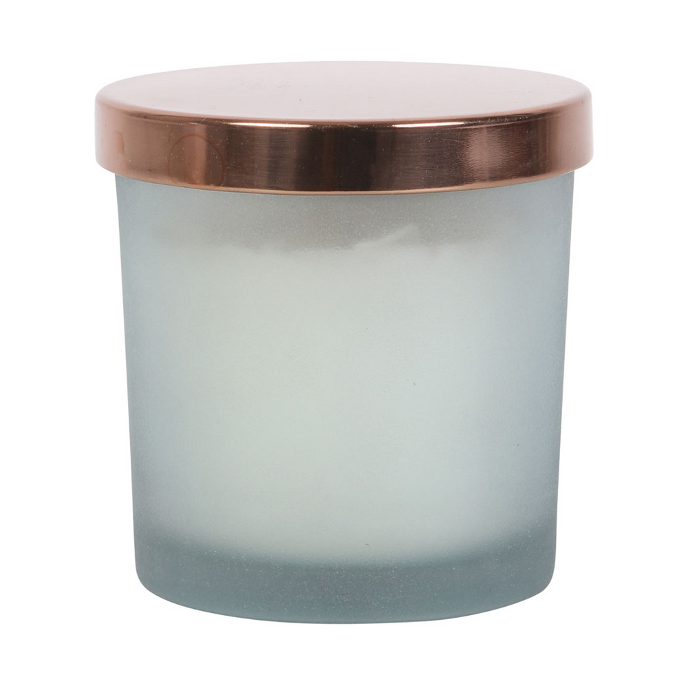 Positive Energy White Sage Crystal Chip Candle